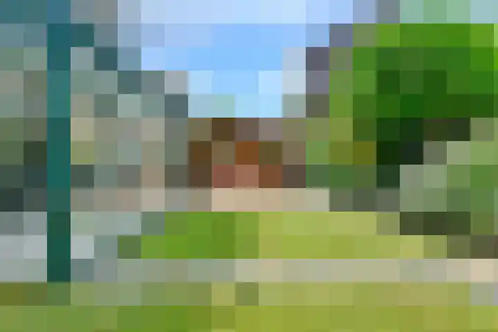 Liesbos 58 Hoofddorp thumbnail 25