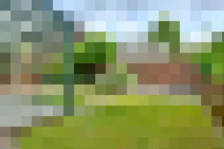 Liesbos 58 Hoofddorp thumbnail 26