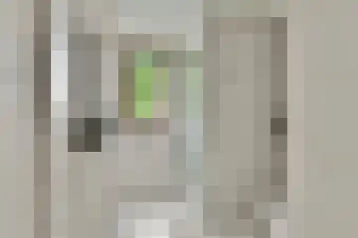 Liesbos 58 Hoofddorp thumbnail 33