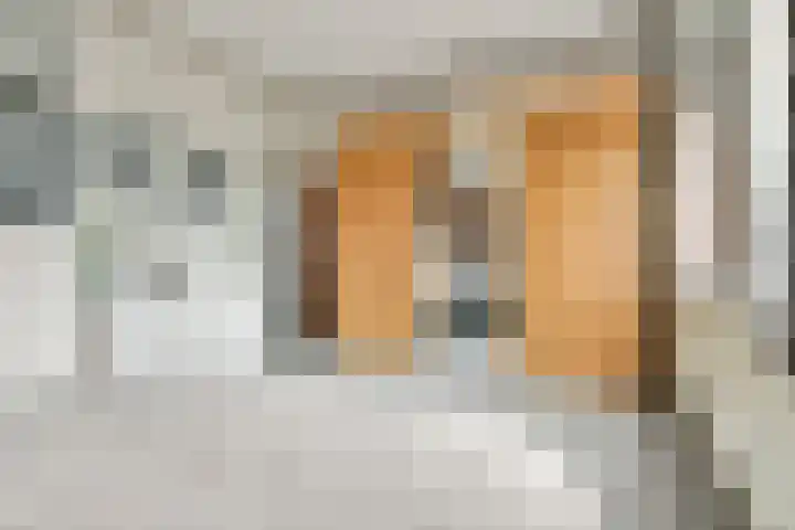 Liesbos 58 Hoofddorp thumbnail 36