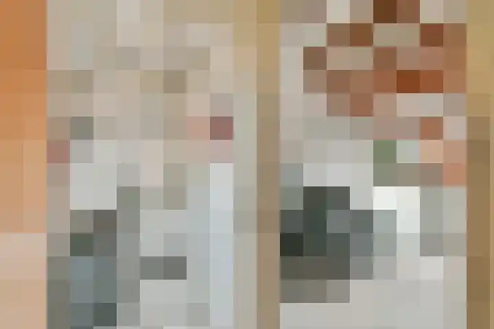 Liesbos 58 Hoofddorp thumbnail 37