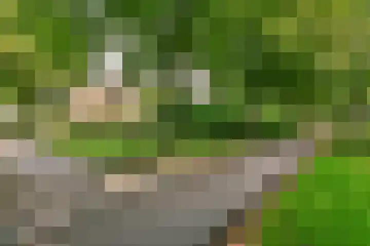 Liesbos 58 Hoofddorp thumbnail 4