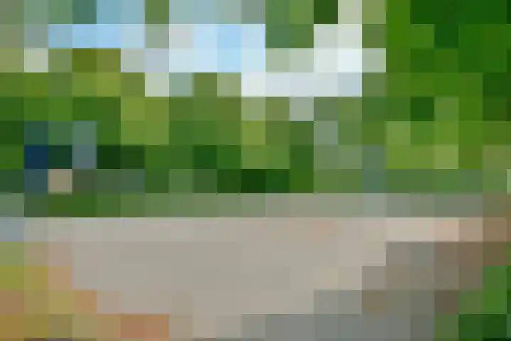 Liesbos 58 Hoofddorp thumbnail 41