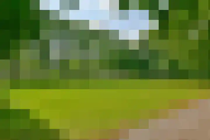 Liesbos 58 Hoofddorp thumbnail 42