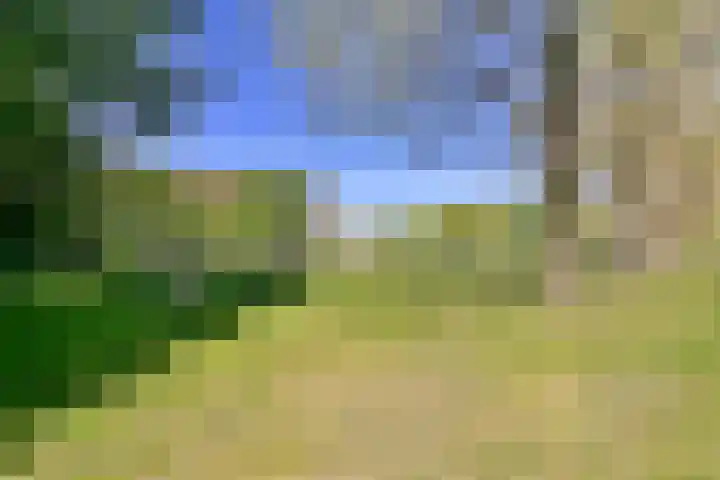 Liesbos 58 Hoofddorp thumbnail 43