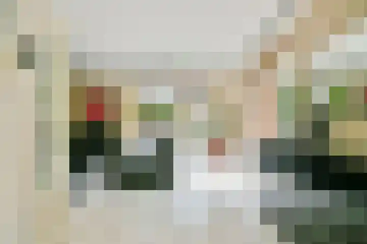 Liesbos 58 Hoofddorp thumbnail 7