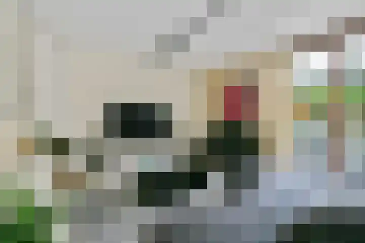 Liesbos 58 Hoofddorp thumbnail 9
