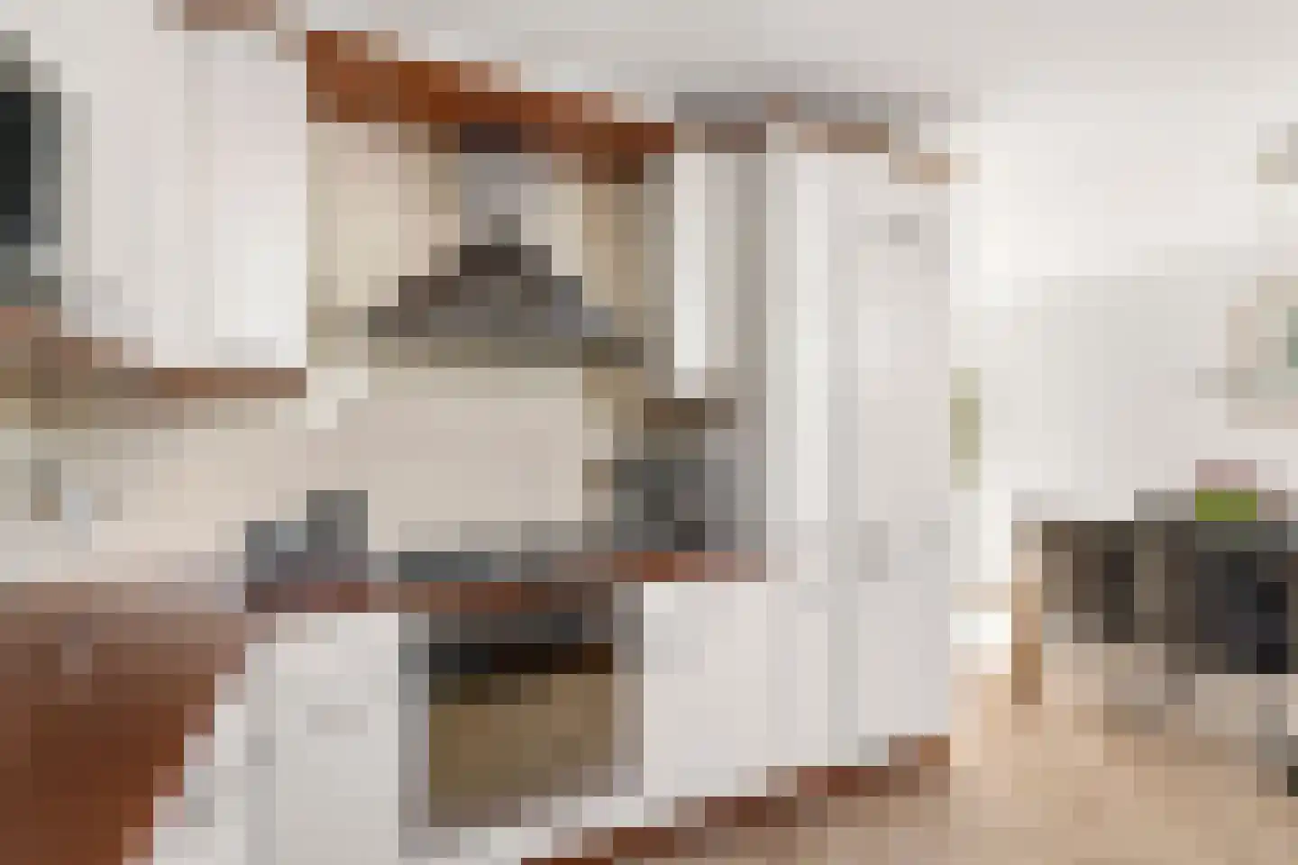 Liesbos 62 Hoofddorp thumbnail 13