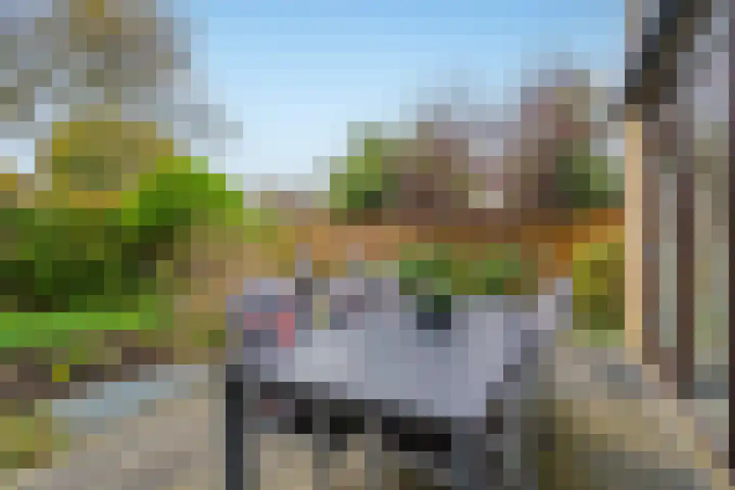 Liesbos 62 Hoofddorp thumbnail 34