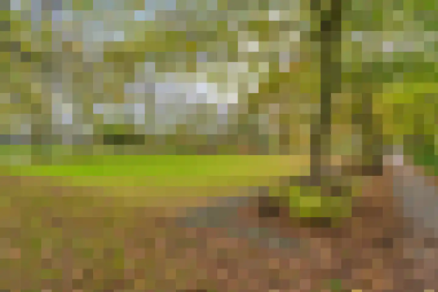 Liesbos 62 Hoofddorp thumbnail 39