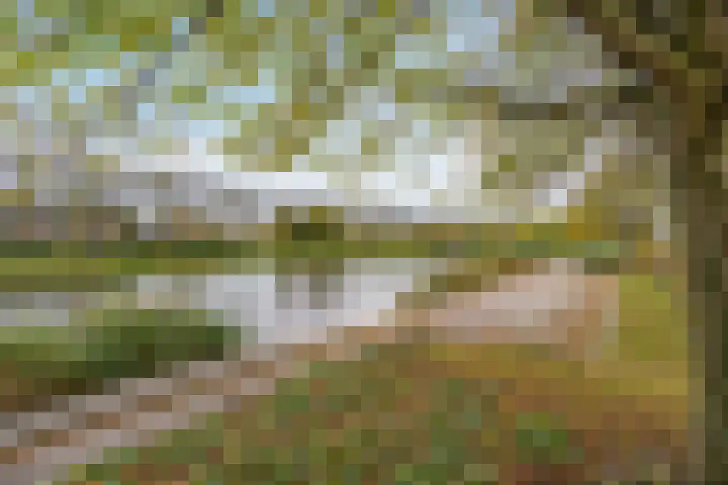 Liesbos 62 Hoofddorp thumbnail 41