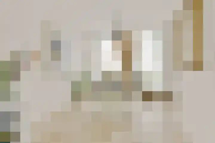 Liesbos 70 Hoofddorp thumbnail 11