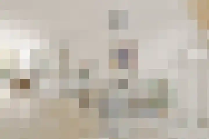 Liesbos 70 Hoofddorp thumbnail 14