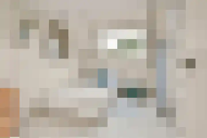 Liesbos 70 Hoofddorp thumbnail 21