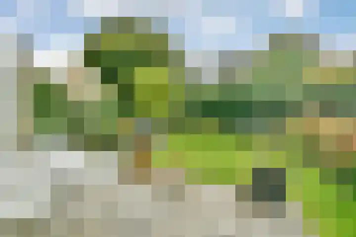 Liesbos 70 Hoofddorp thumbnail 23
