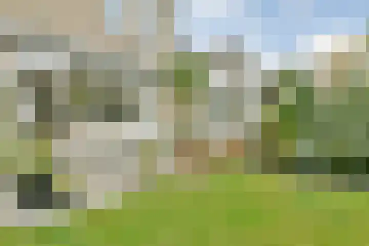 Liesbos 70 Hoofddorp thumbnail 24