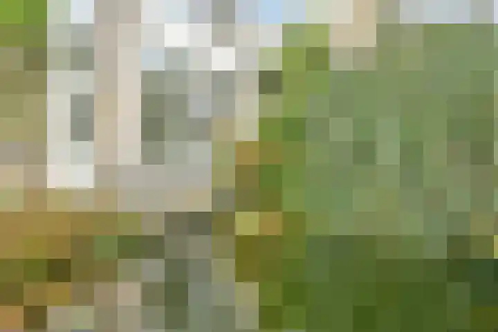 Liesbos 70 Hoofddorp thumbnail 25
