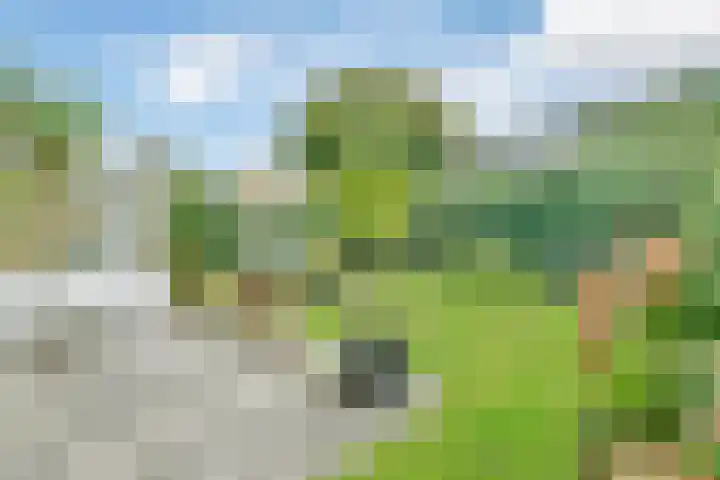 Liesbos 70 Hoofddorp thumbnail 26