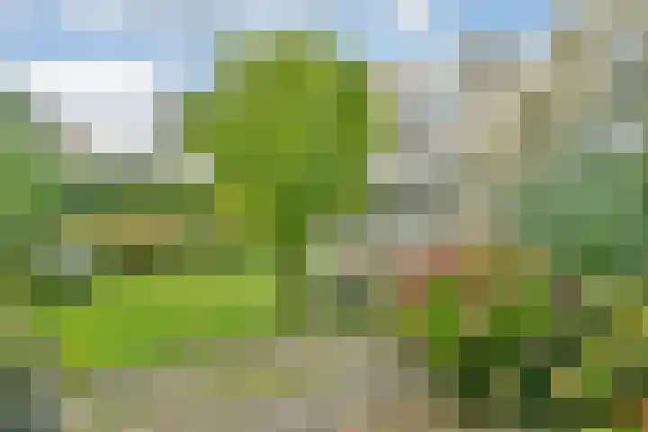 Liesbos 70 Hoofddorp thumbnail 27