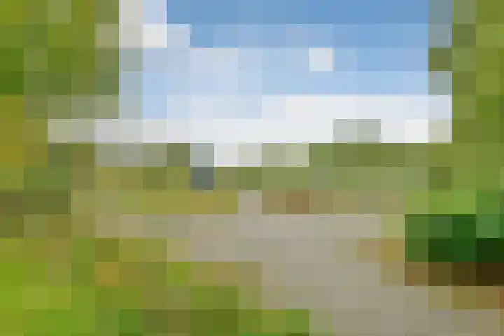 Liesbos 70 Hoofddorp thumbnail 28