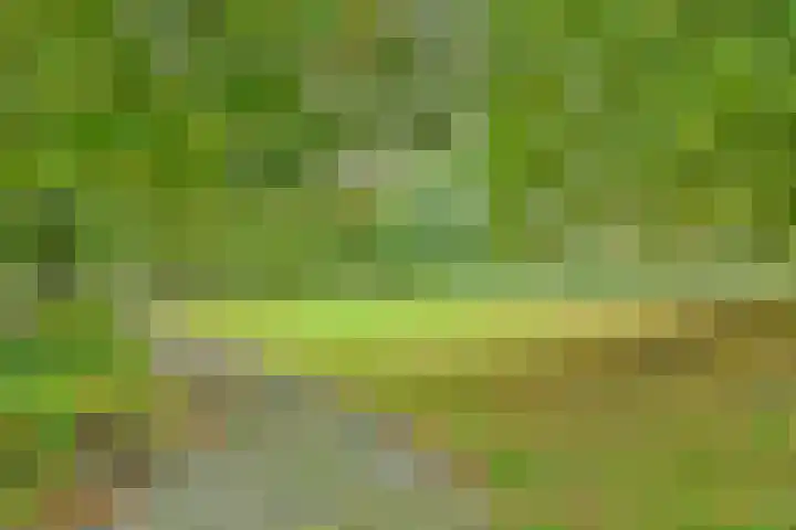 Liesbos 70 Hoofddorp thumbnail 29