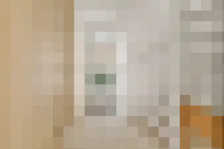 Liesbos 70 Hoofddorp thumbnail 4