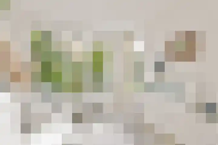 Liesbos 70 Hoofddorp thumbnail 9