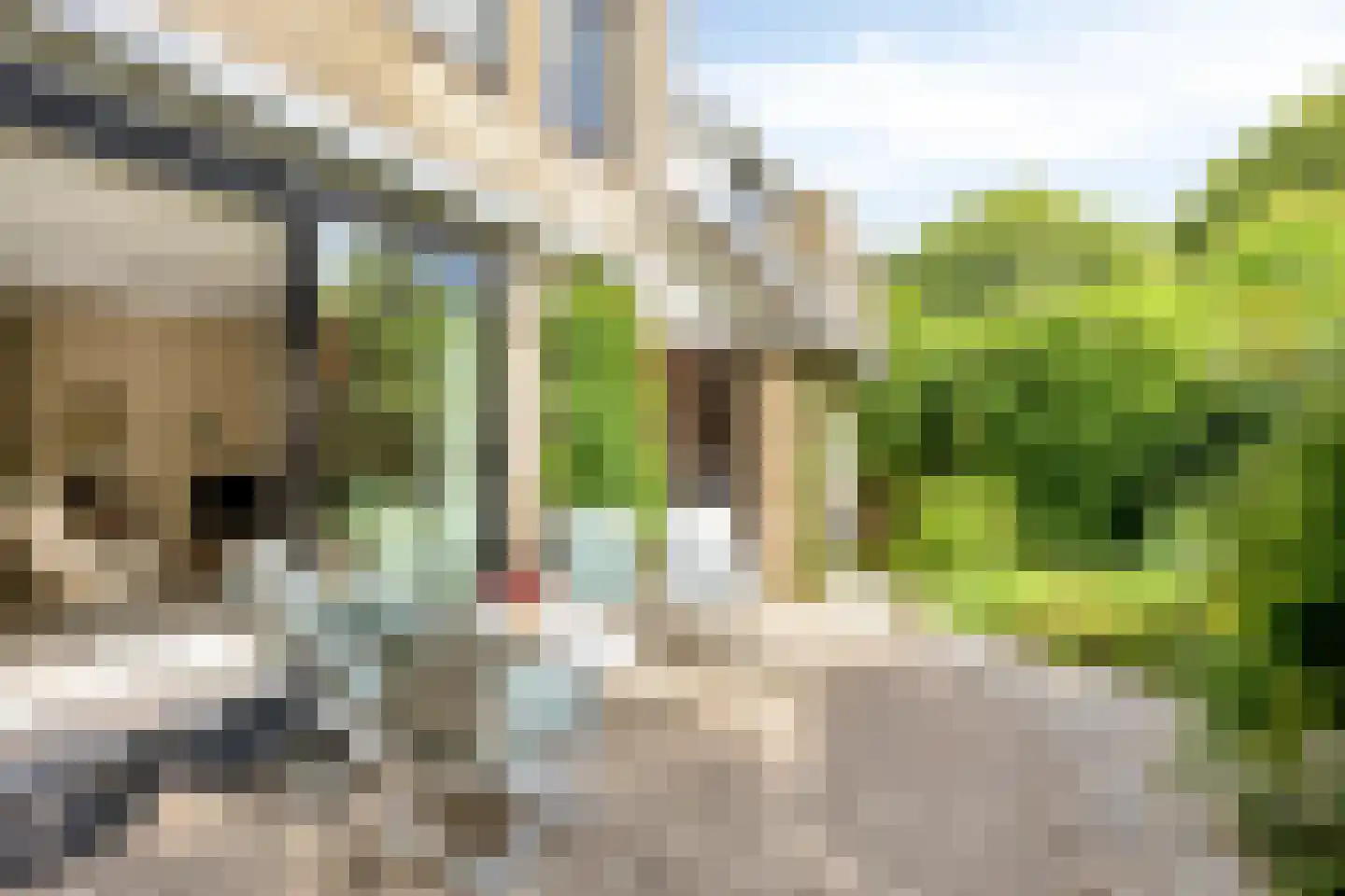 Liesbos 94 Hoofddorp thumbnail 23