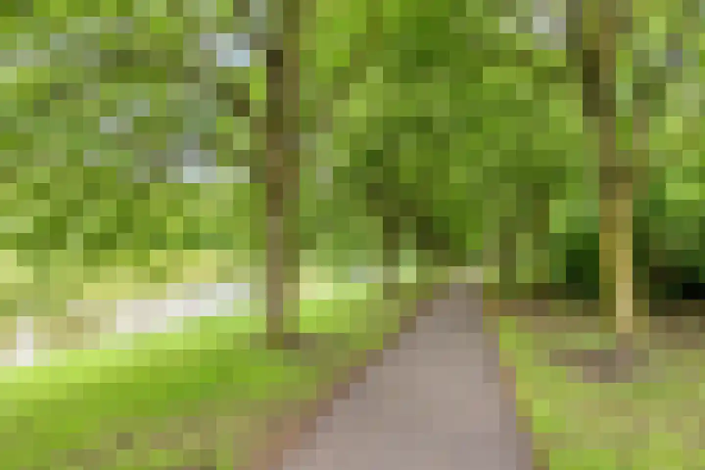 Liesbos 94 Hoofddorp thumbnail 27