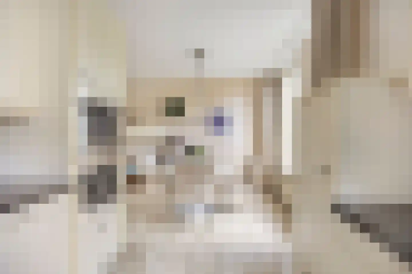 Liesbos 94 Hoofddorp thumbnail 8