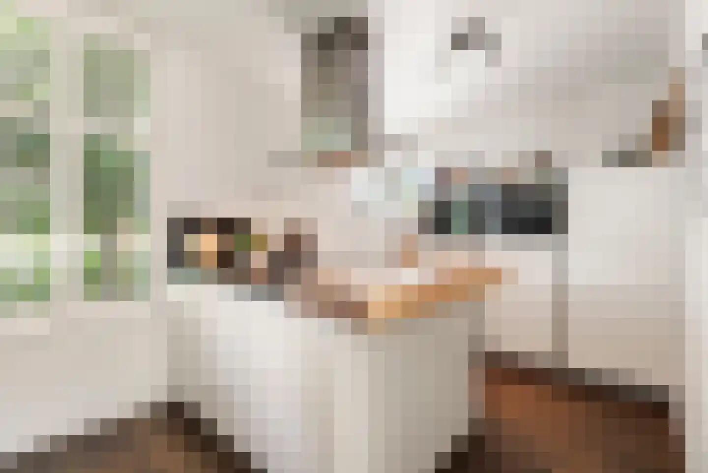 Liesbos 98 Hoofddorp thumbnail 15