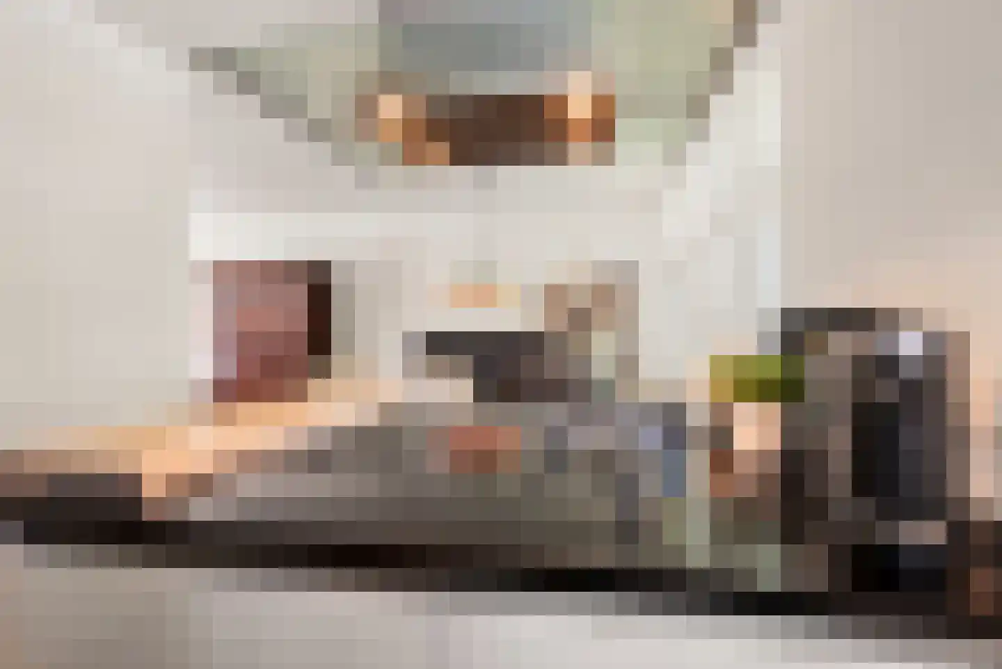 Liesbos 98 Hoofddorp thumbnail 18