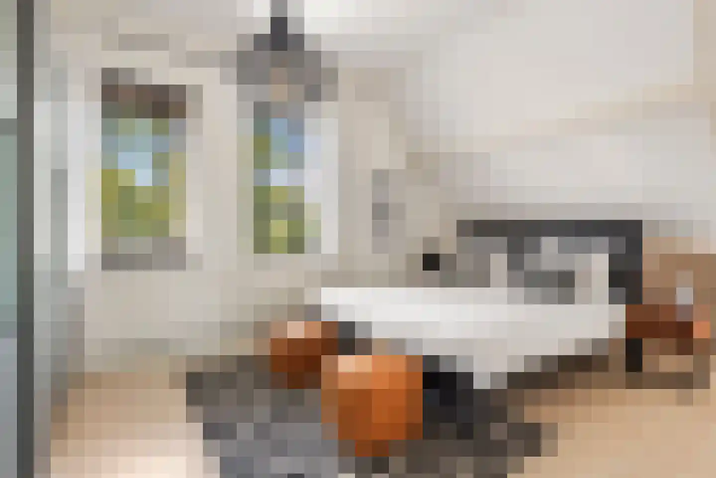 Liesbos 98 Hoofddorp thumbnail 24