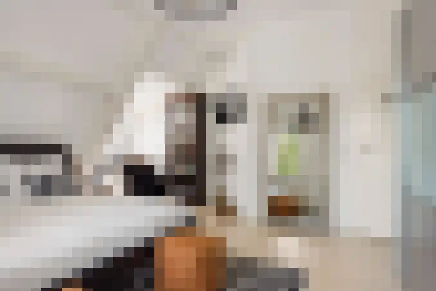 Liesbos 98 Hoofddorp thumbnail 27