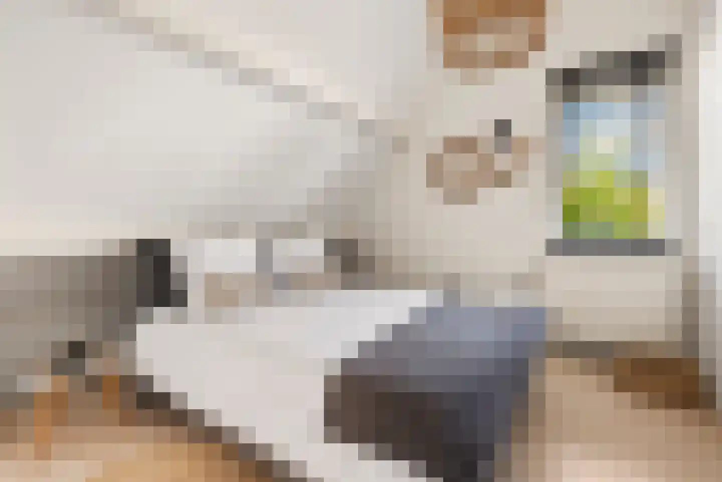 Liesbos 98 Hoofddorp thumbnail 29