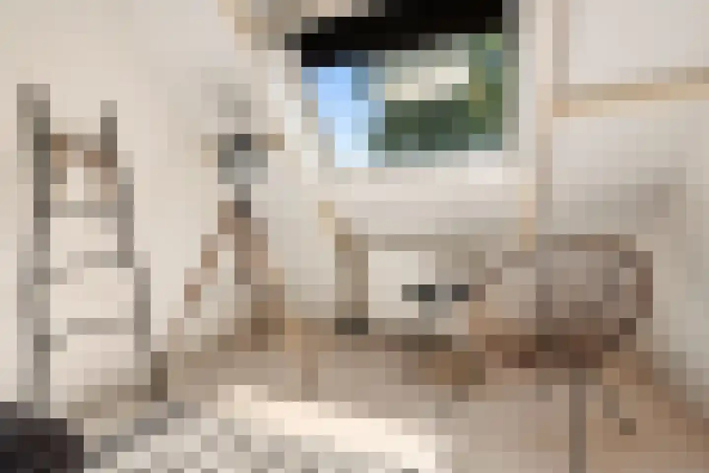 Liesbos 98 Hoofddorp thumbnail 33