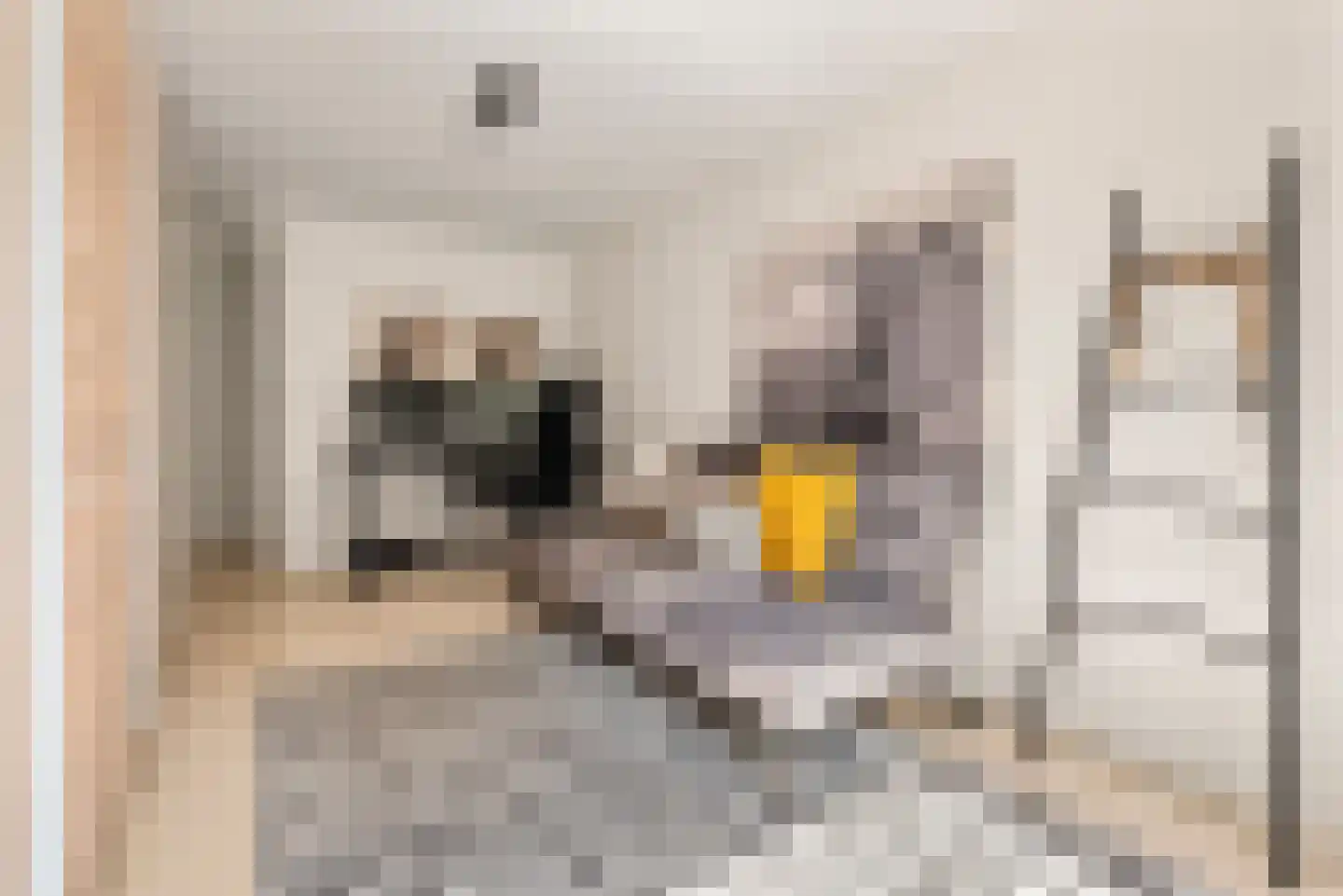 Liesbos 98 Hoofddorp thumbnail 34