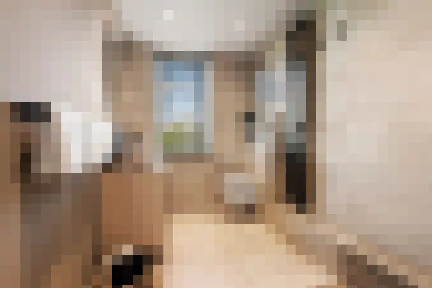 Liesbos 98 Hoofddorp thumbnail 35
