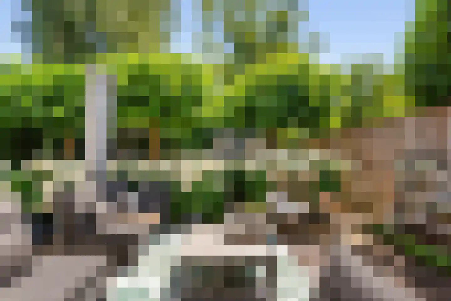 Liesbos 98 Hoofddorp thumbnail 40