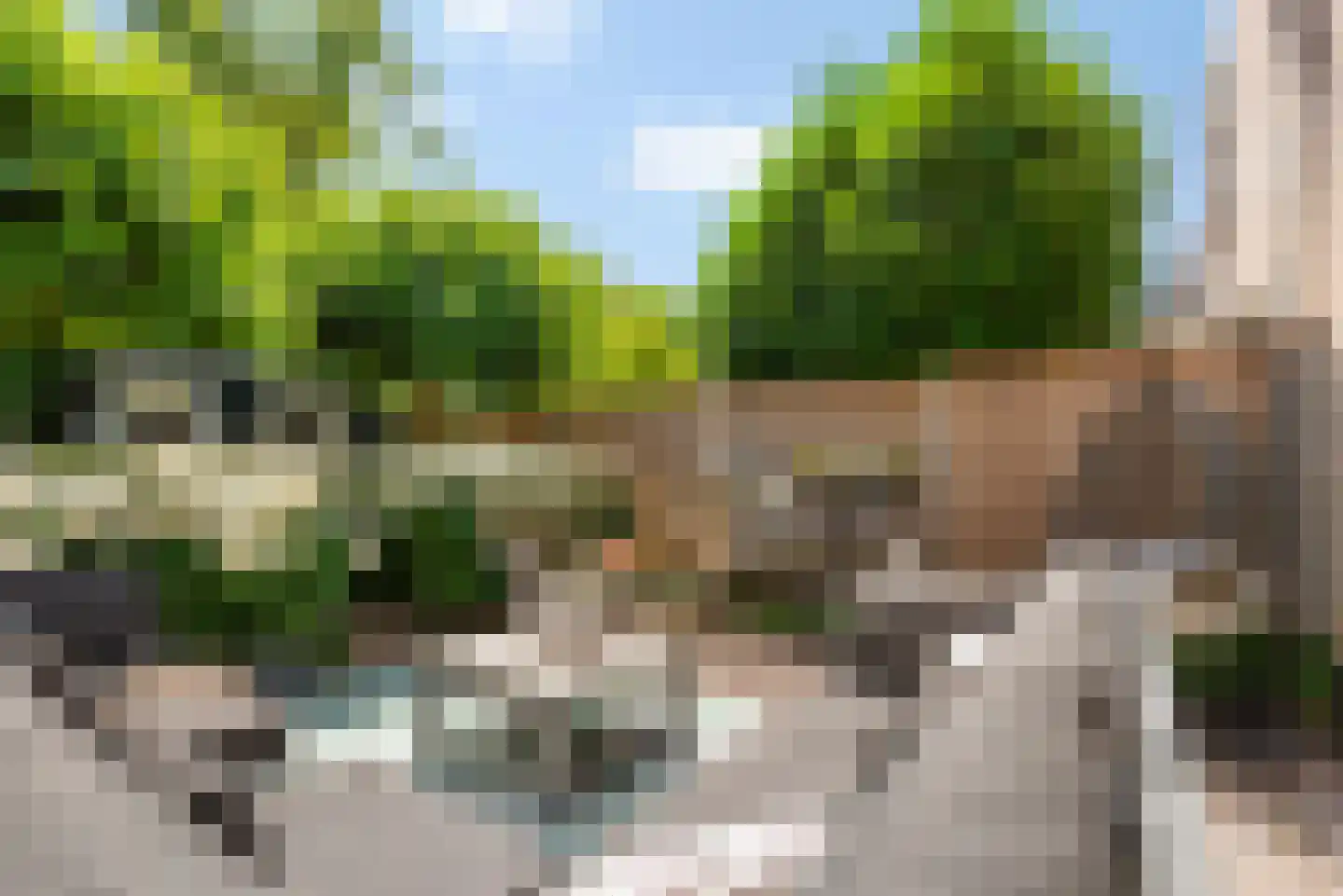 Liesbos 98 Hoofddorp thumbnail 41