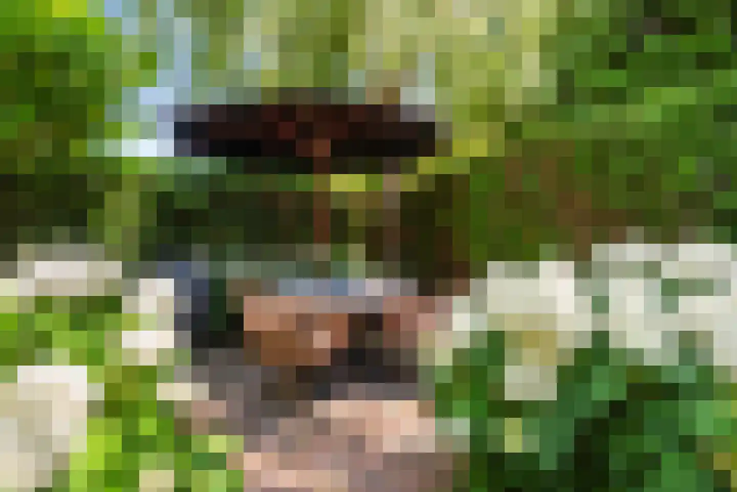 Liesbos 98 Hoofddorp thumbnail 42