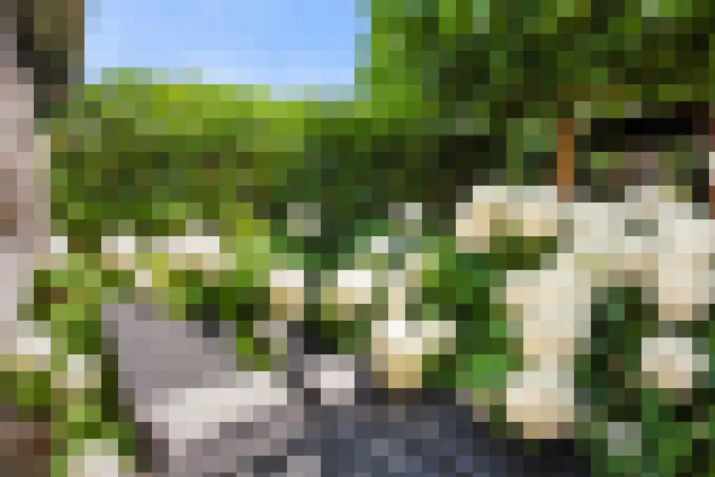 Liesbos 98 Hoofddorp thumbnail 46
