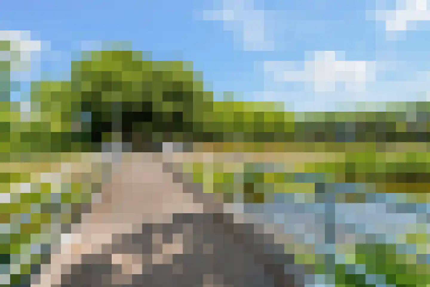 Liesbos 98 Hoofddorp thumbnail 50