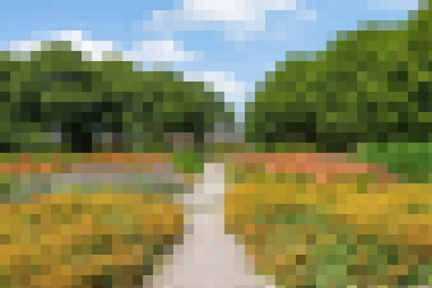 Liesbos 98 Hoofddorp thumbnail 52