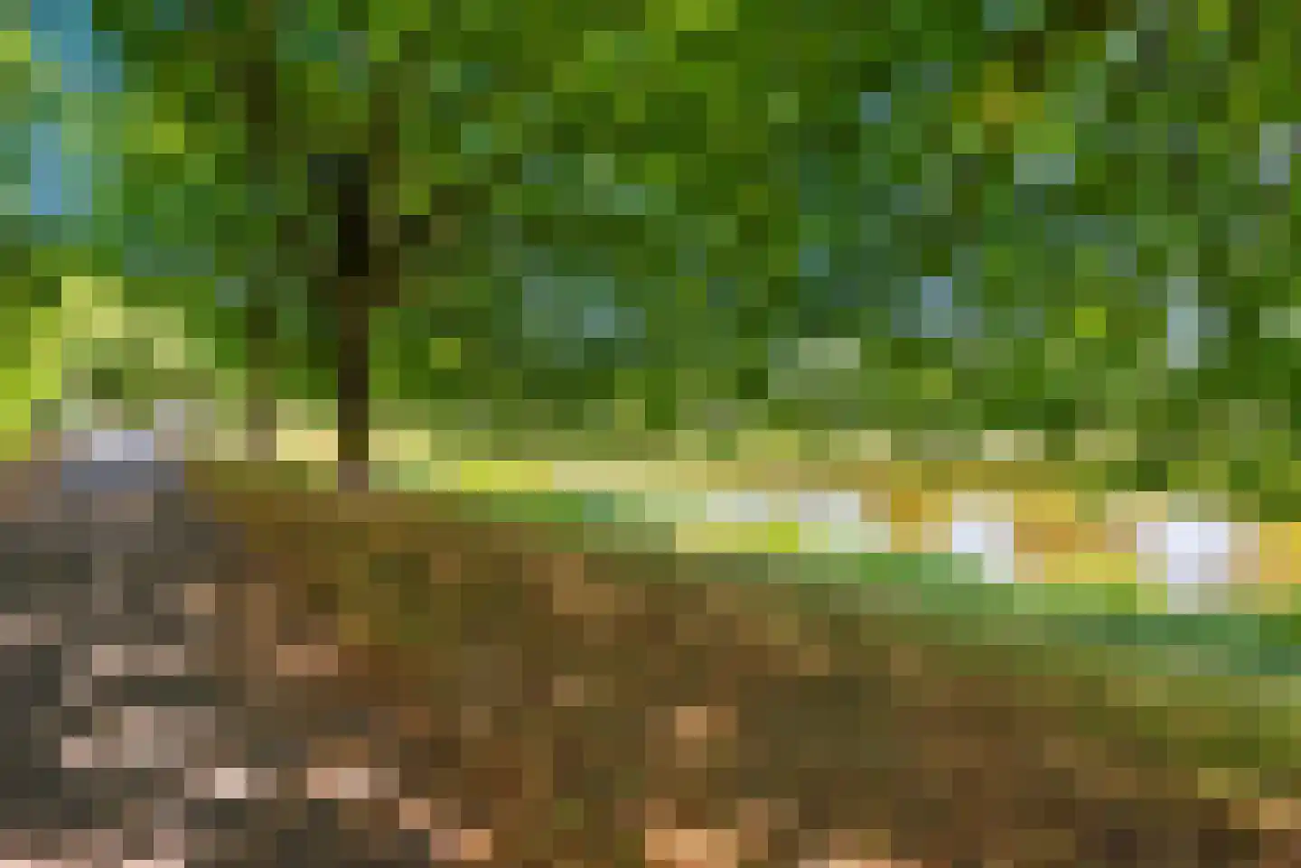 Liesbos 98 Hoofddorp thumbnail 55
