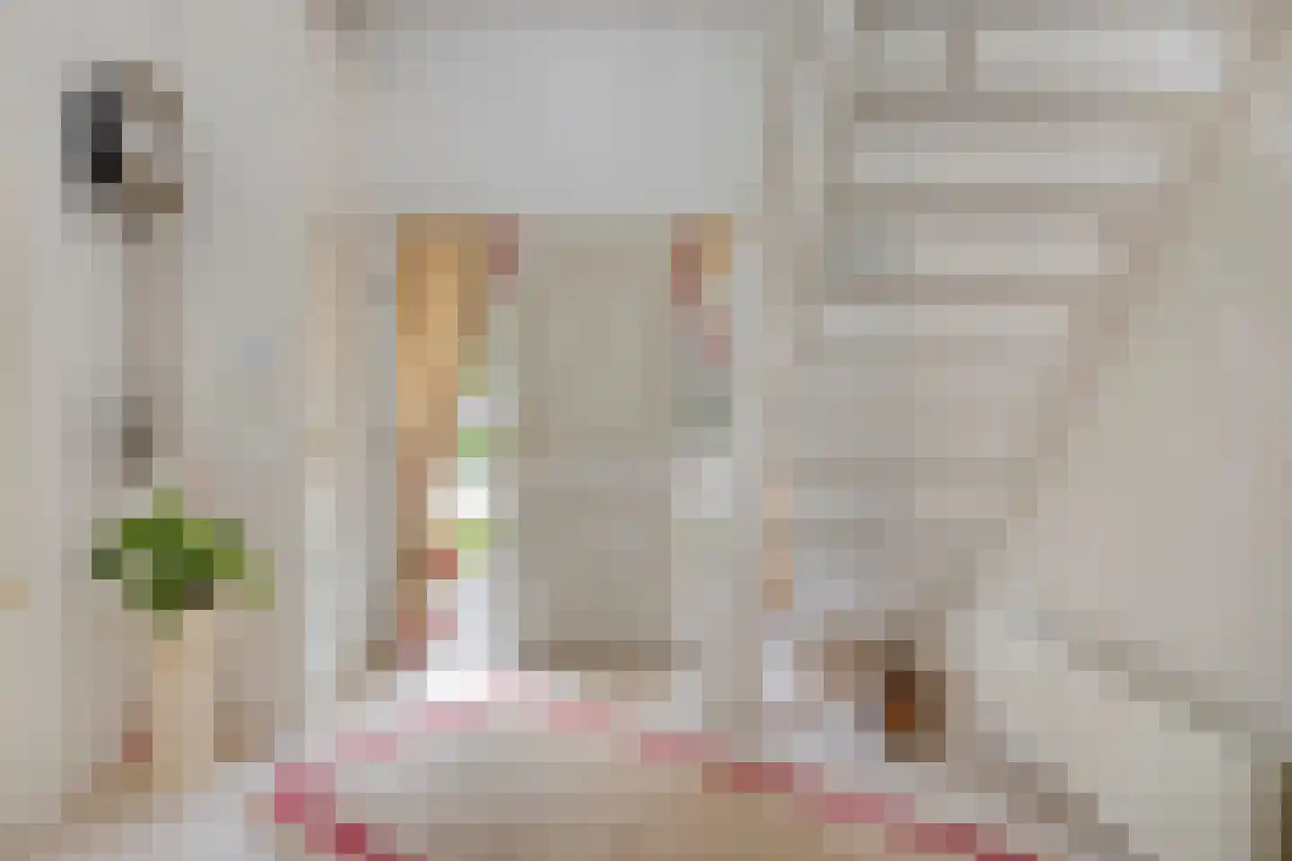 Liesbosdreef 12 Prinsenbeek thumbnail 17