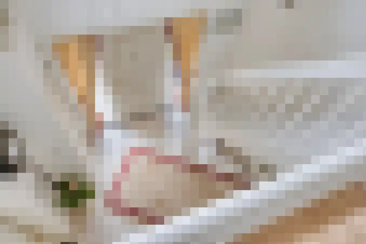 Liesbosdreef 12 Prinsenbeek thumbnail 20
