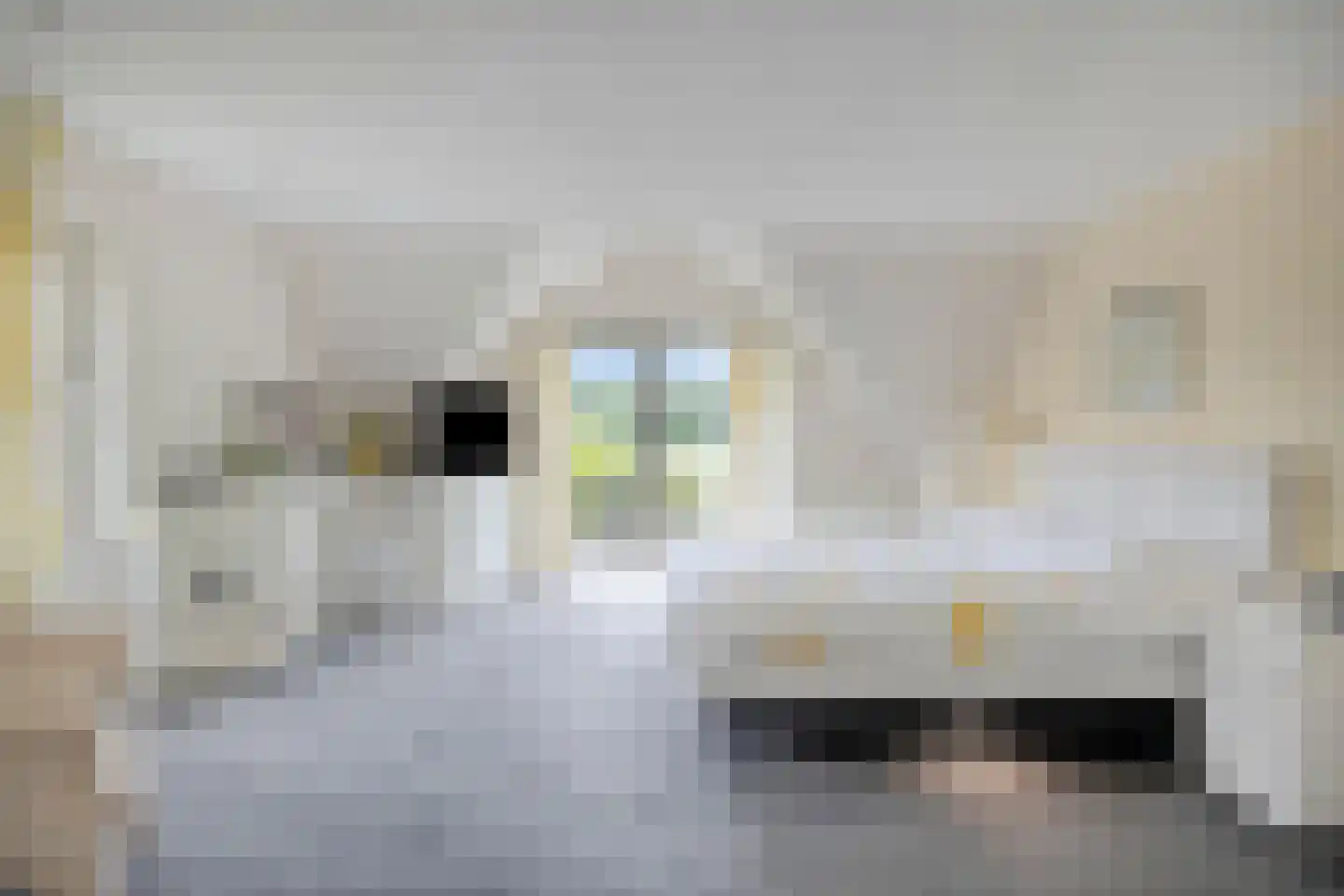 Liesbosdreef 12 Prinsenbeek thumbnail 21