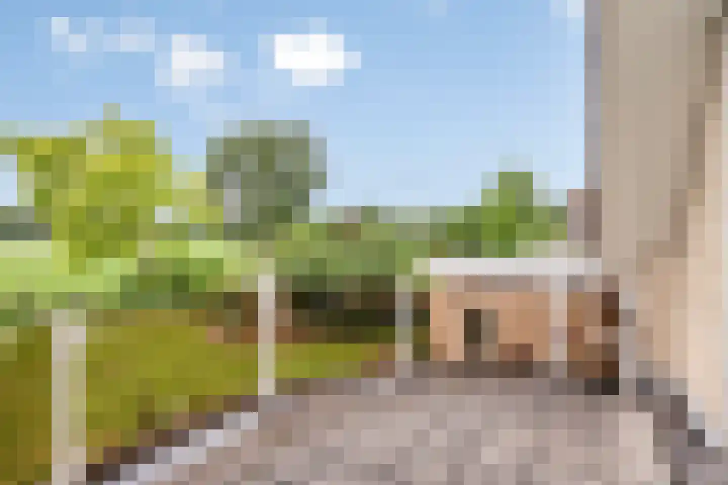 Liesbosdreef 12 Prinsenbeek thumbnail 25