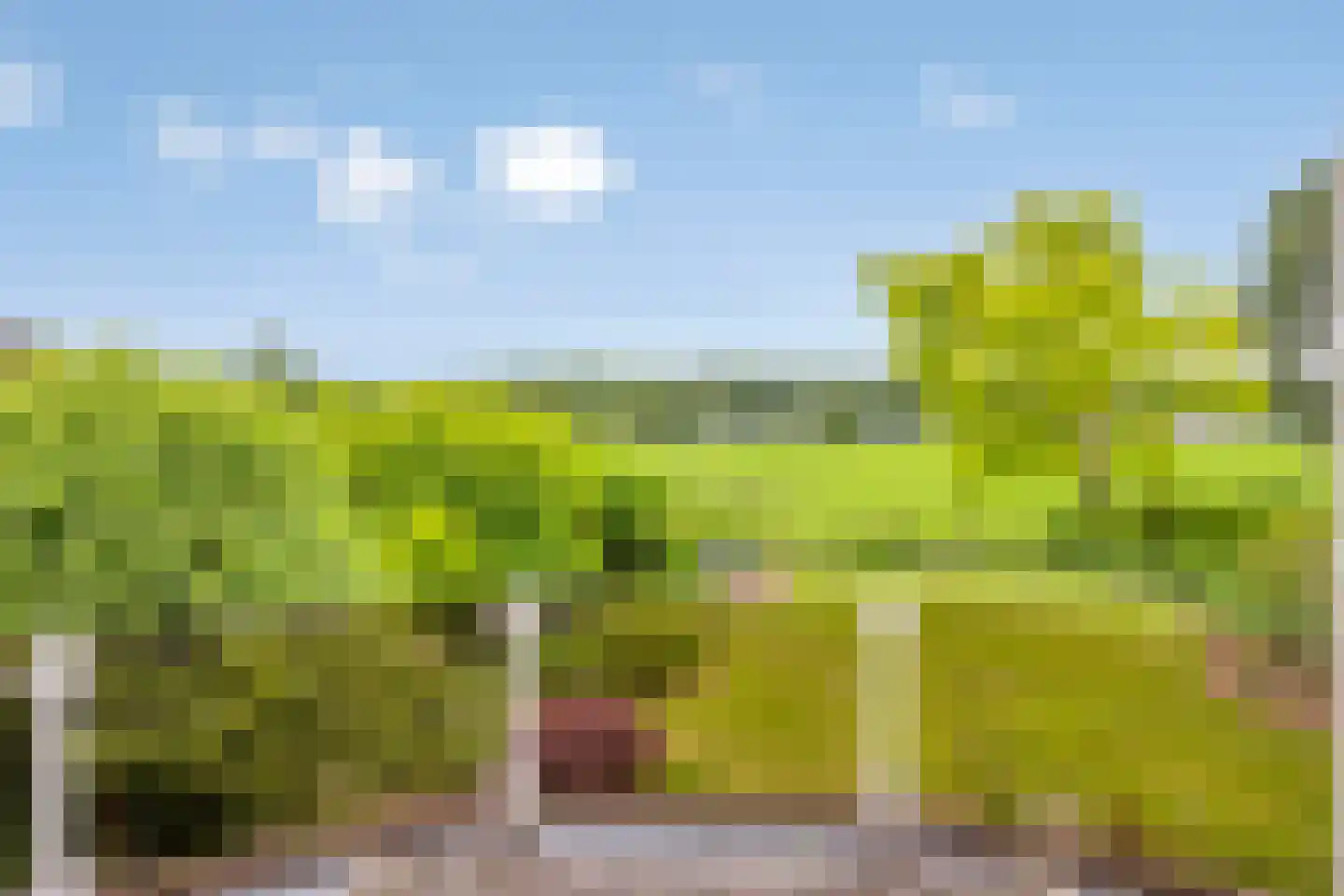 Liesbosdreef 12 Prinsenbeek thumbnail 26